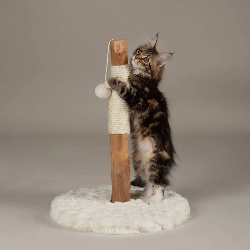Scruffs Alpine Andes 'My First' Cat Scratching Post - Cream - Percys Pet Products
