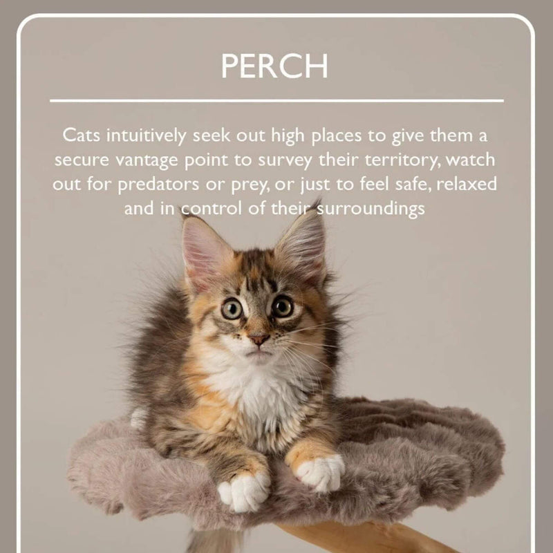 Scruffs Alpine Himalayas Cat Tree - Percys Pet Products