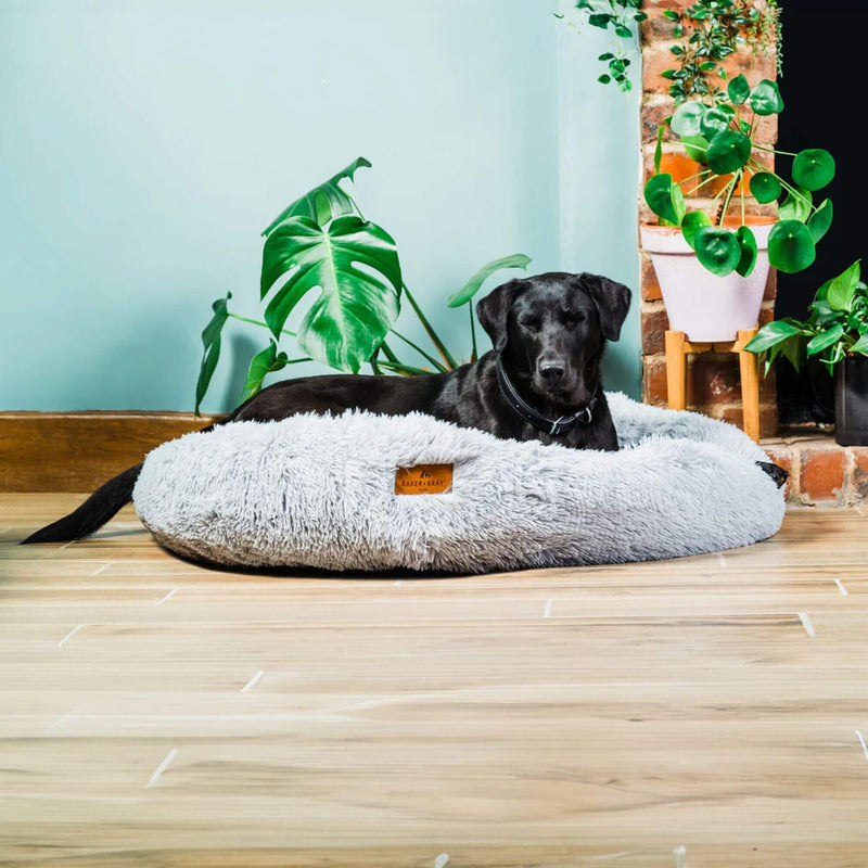 Baker & Bray Calming Donut Dog Bed - Light Grey