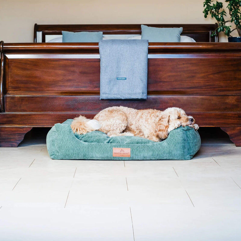 Baker & Bray Eco Luxe Orthopaedic Luxury Dog Bed - Sage Green