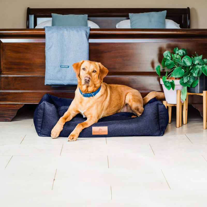 Baker & Bray Eco Luxe Orthopaedic Luxury Dog Bed - Navy Blue