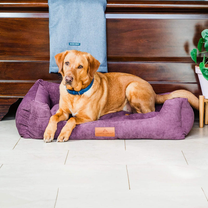 Baker & Bray Eco Luxe Orthopaedic Luxury Dog Bed - Rhubarb Red