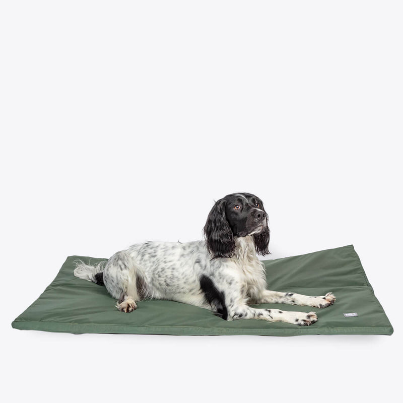 Danish Design County Standard Duvet Dog Bed