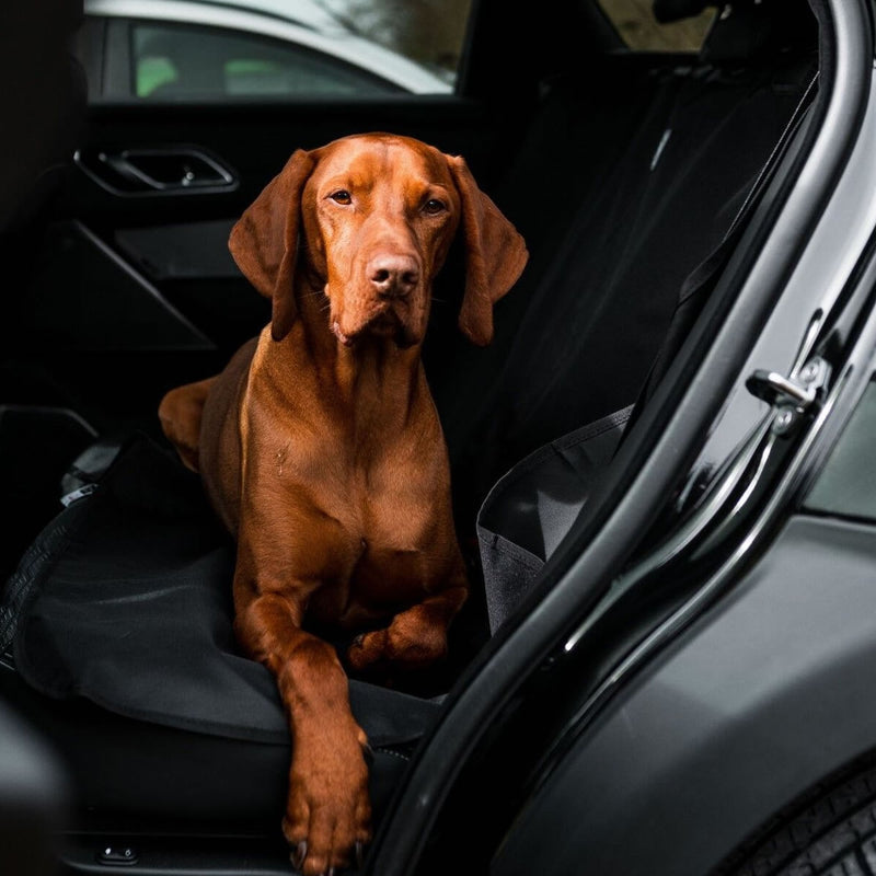 Danish Design Waterproof Car Seat Cover | Percys Pet Products