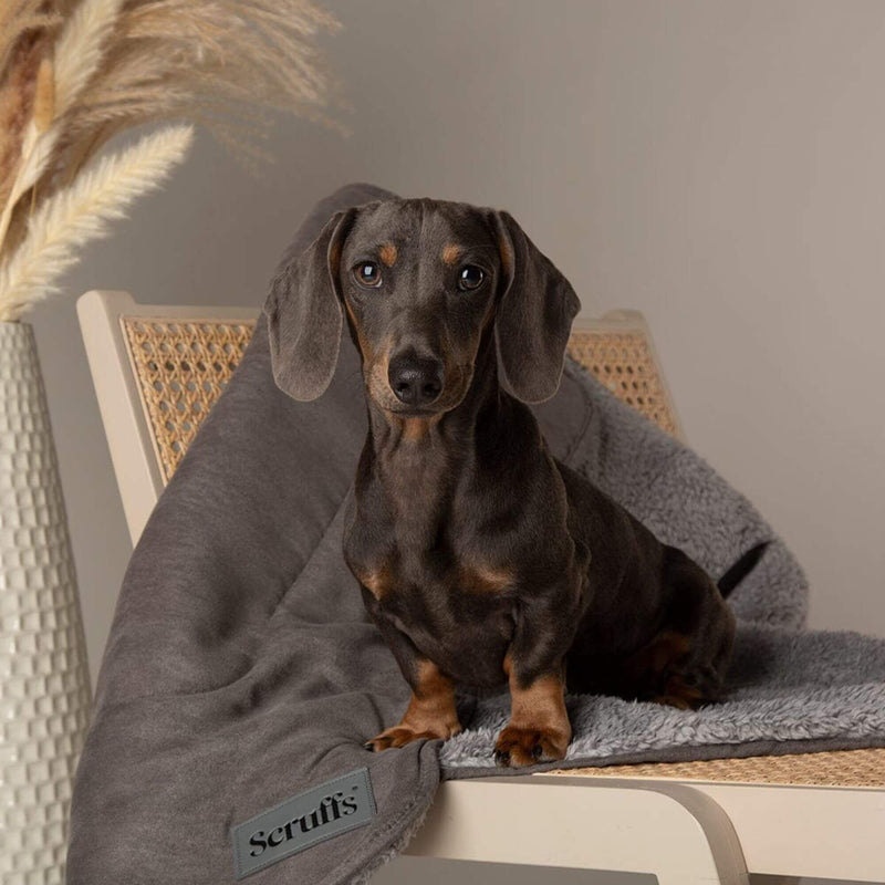 Scruffs Cosy Dog Blanket - Percys Pet Products