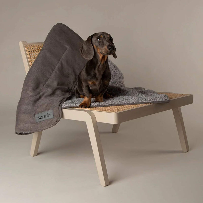 Scruffs Cosy Dog Blanket - Percys Pet Products