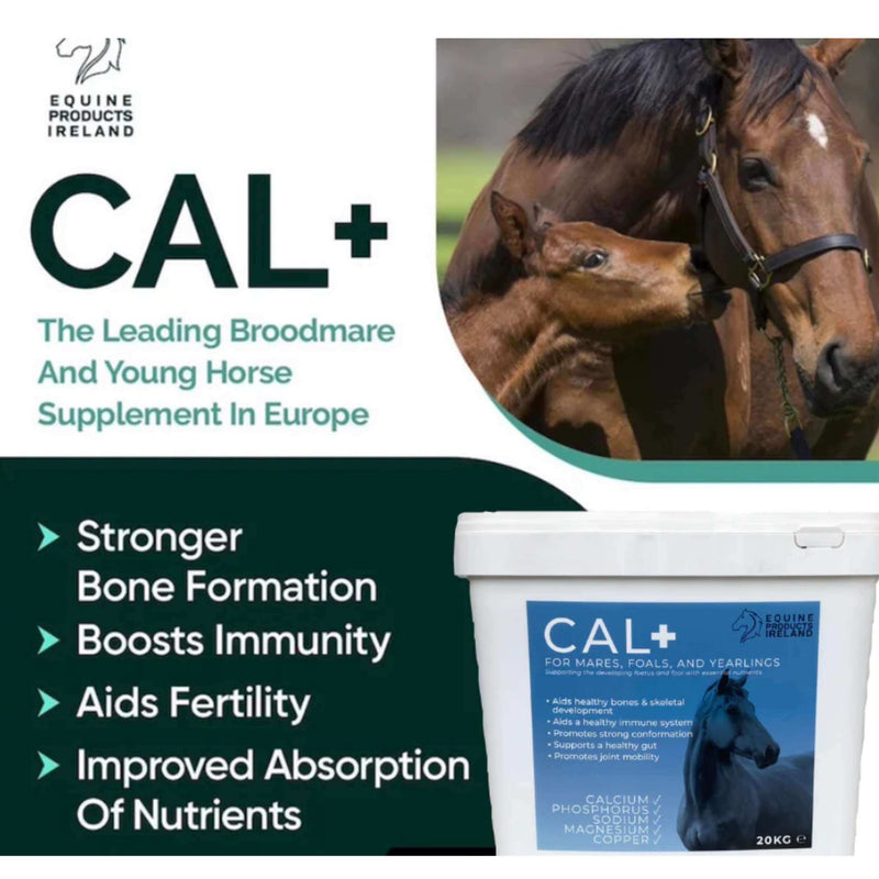 Buy Equine Products Ireland Cal - Percys Pet Products
