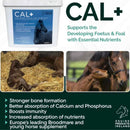 Buy Equine Products Ireland Cal - Percys Pet Products