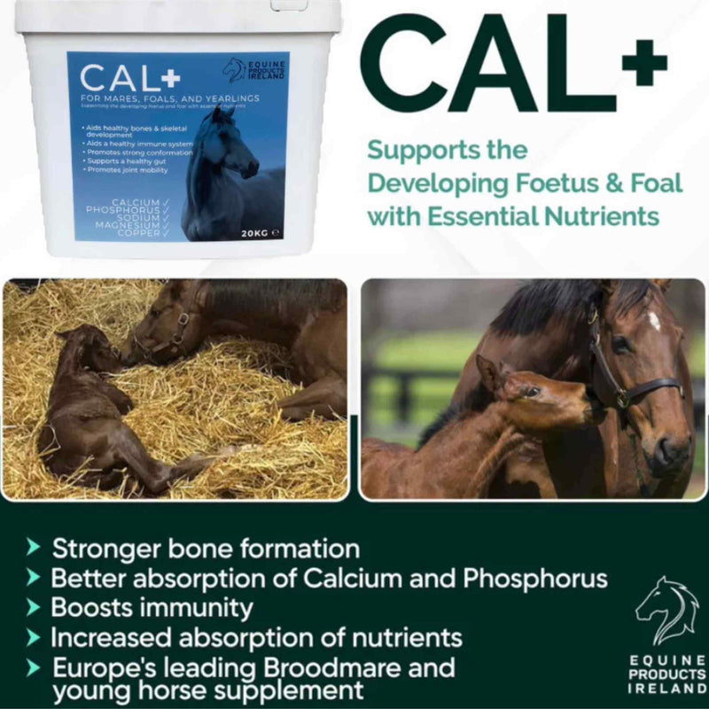 Buy Equine Products Ireland Cal - Percys Pet Products
