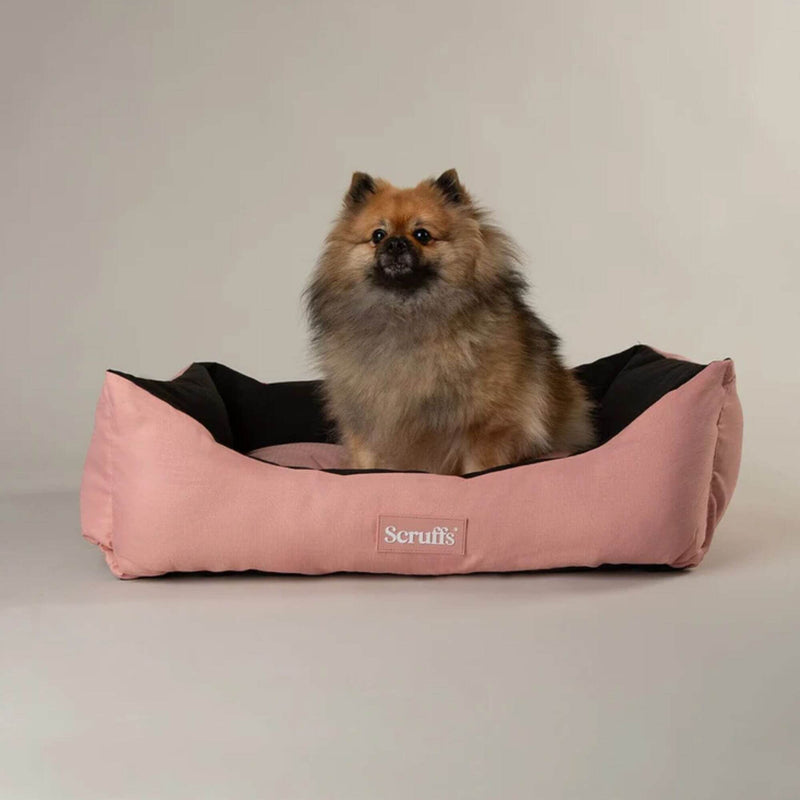 Scruffs Expedition Waterproof Box Bed - Percys Pet Products