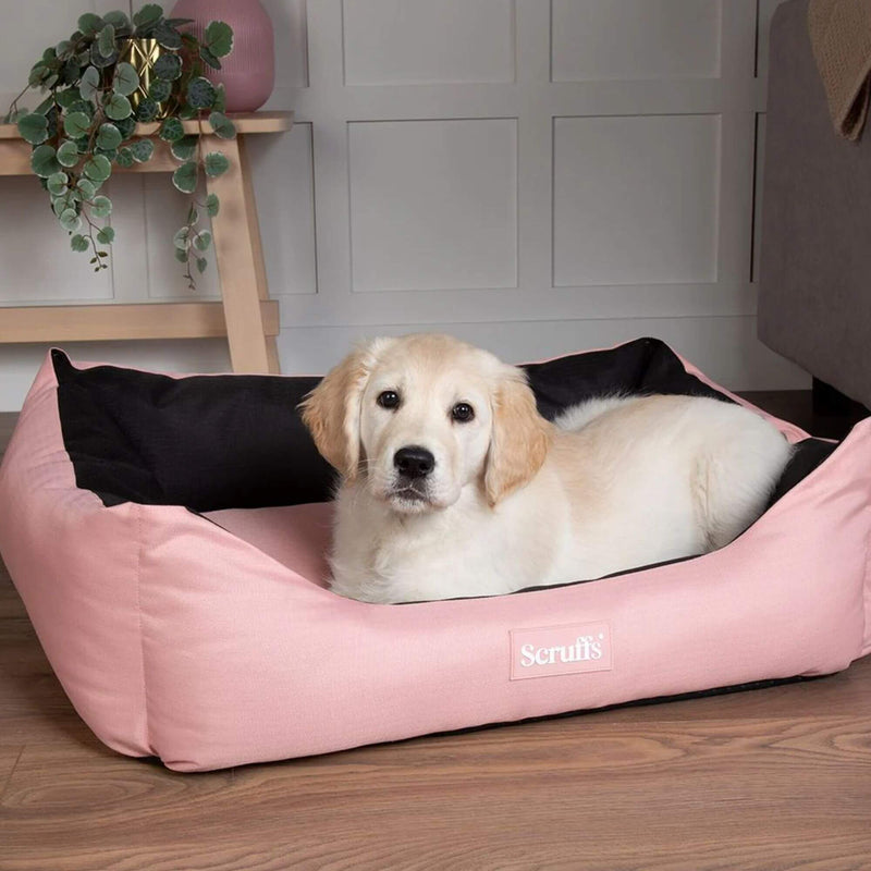 Scruffs Expedition Waterproof Box Bed - Percys Pet Products