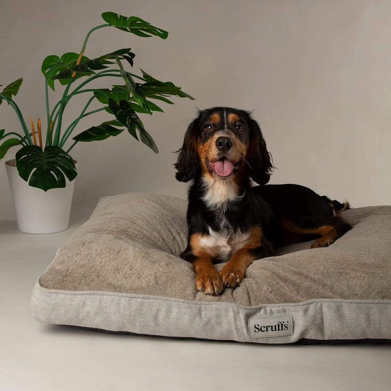 Scruffs Harvard Memory Foam Mattress - Percys Pet Products