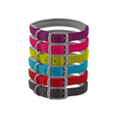 Buy Ancol Viva Padded Buckle Dog Collar | Percys Pet Products