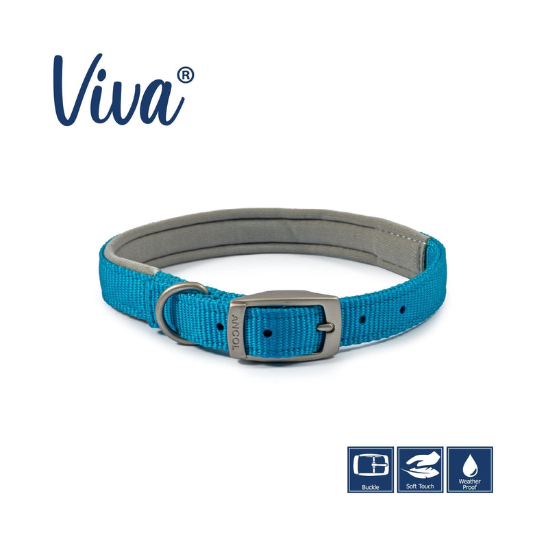 Buy Ancol Viva Padded Buckle Dog Collar | Percys Pet Products
