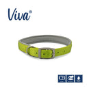 Buy Ancol Viva Padded Buckle Dog Collar | Percys Pet Products