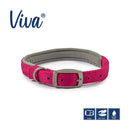 Buy Ancol Viva Padded Buckle Dog Collar | Percys Pet Products