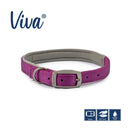 Buy Ancol Viva Padded Buckle Dog Collar | Percys Pet Products