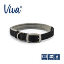 Buy Ancol Viva Padded Buckle Dog Collar | Percys Pet Products