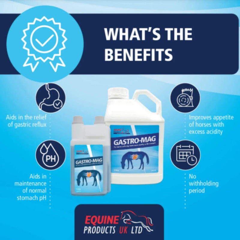 Buy Equine Products UK Gastro Mag - Percys Pet Products - Free UK Delivery