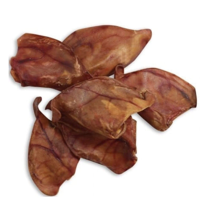 Nova Dog Chews Pigs Ears Medium x 50 Box BULK