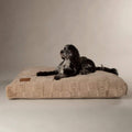 Buy Scruffs Oxford Orthopaedic Mattress Dog Bed - Percys Pet Products