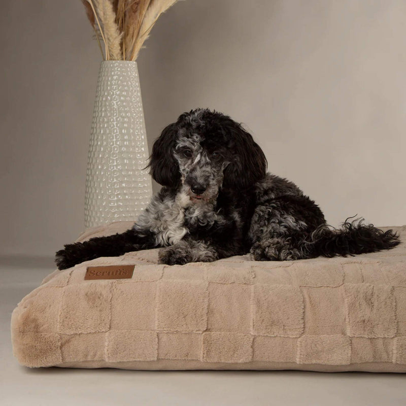 Buy Scruffs Oxford Orthopaedic Mattress Dog Bed - Percys Pet Products