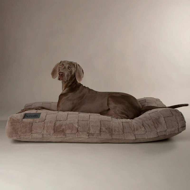 Buy Scruffs Oxford Orthopaedic Mattress Dog Bed - Percys Pet Products