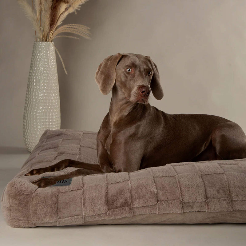 Buy Scruffs Oxford Orthopaedic Mattress Dog Bed - Percys Pet Products