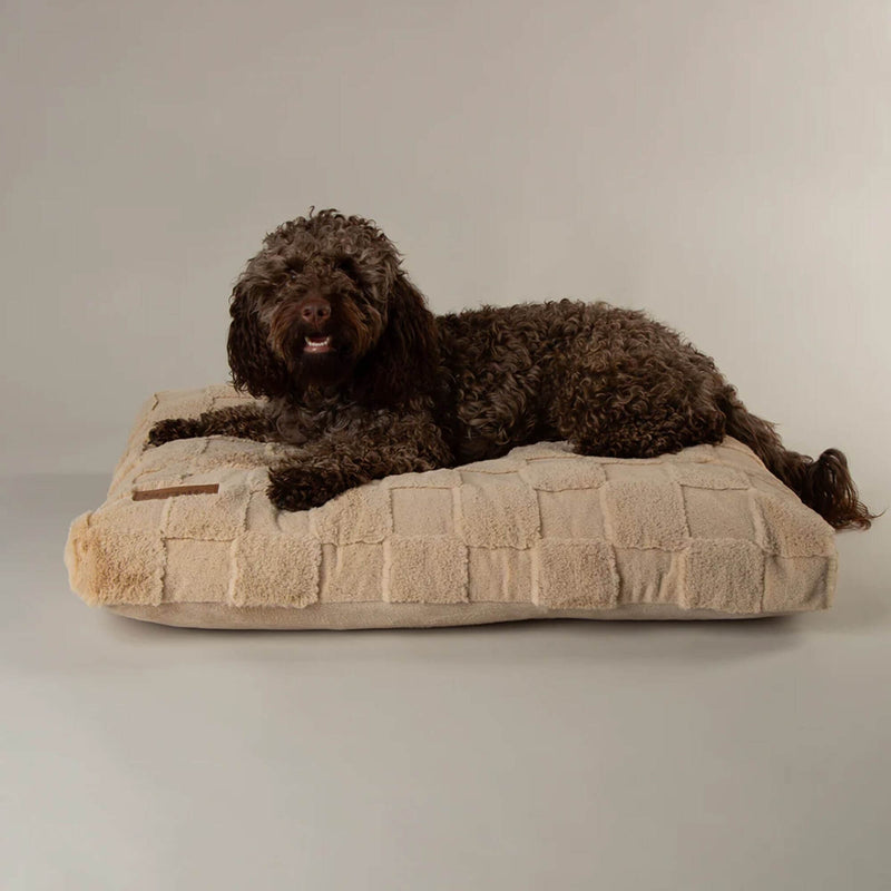 Buy Scruffs Oxford Orthopaedic Mattress Dog Bed - Percys Pet Products