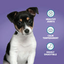 Burns Puppy Original Chicken & Rice 12kg