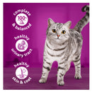 Buy Whiskas Farm Menu Adult Wet Cat Food Jelly - Percys Pet Products