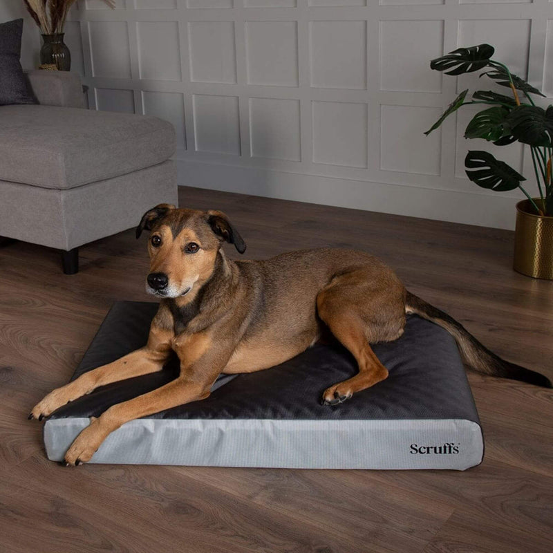 Scruffs ArmourDillo Orthopaedic Dog Bed - Percys Pet Products