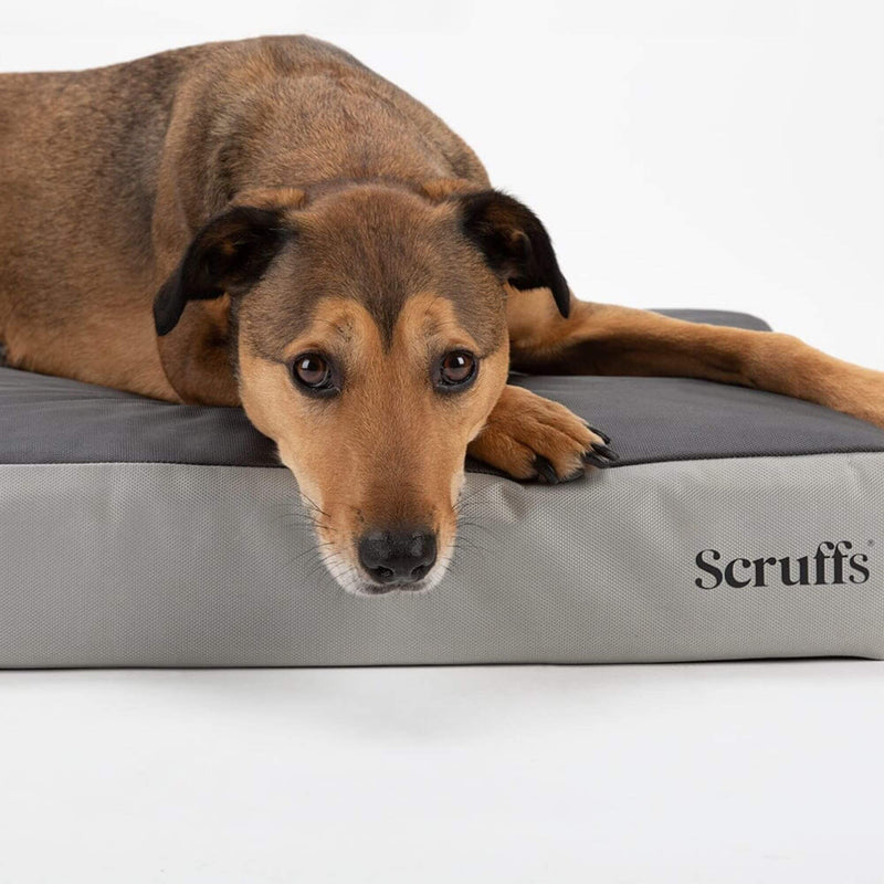 Scruffs ArmourDillo Orthopaedic Dog Bed - Percys Pet Products