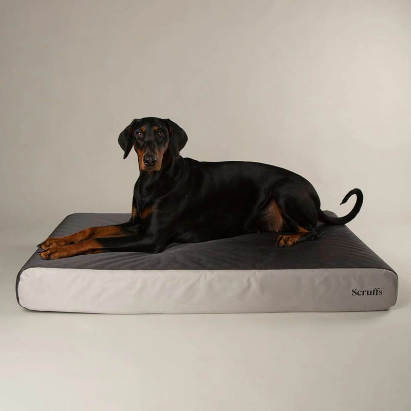 Scruffs ArmourDillo Orthopaedic Dog Bed - Percys Pet Products