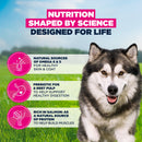 Buy Eukanuba Adult Large Breed Salmon & Barley - Percys Pet Products