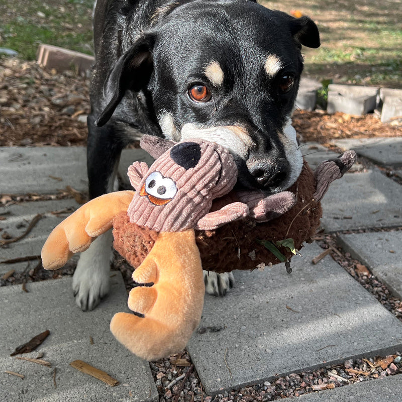 KONG Sherps Floofs Moose Dog Toy - Percys Pet Products
