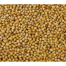 Buy Versele-Laga Yellow Millet Seed 25kg | Percys Pet Products