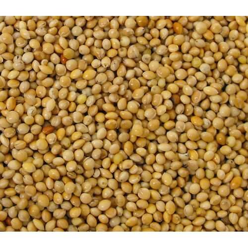 Buy Versele-Laga Yellow Millet Seed 25kg | Percys Pet Products