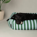 Scruffs Amalfi Striped Box Dog Bed in Green | Percys Pet Products