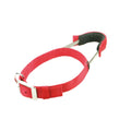 Patento Basic Dog Collar with Quick Grab Integrated Handle