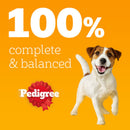 Pedigree Pouches Chicken Beef Turkey Lamb in Gravy 100g x 40 | Percys Pet Products