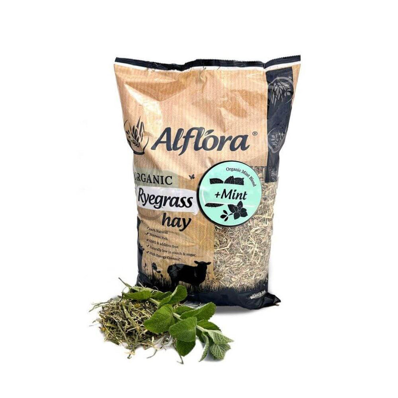 Alflora Organic Ryegrass Hay with Mint - Percys Pet Products