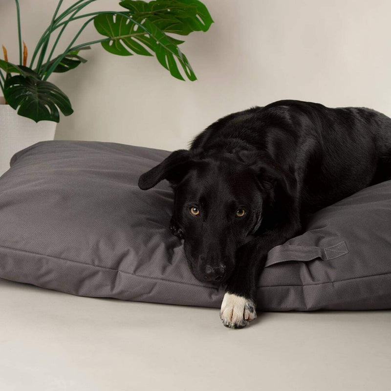 Buy Scruffs Expedition Memory Foam Dog Bed - Percys Pet Products