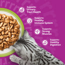 Buy Whiskas Senior 7+ Mixed Menu in Gravy Cat Food - Percys Pet Products