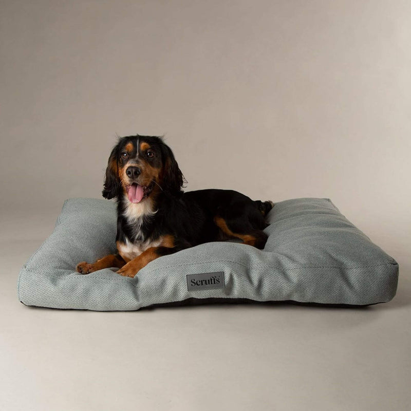 Buy Scruffs Seattle Mattress Dog Bed - Percys Pet Products