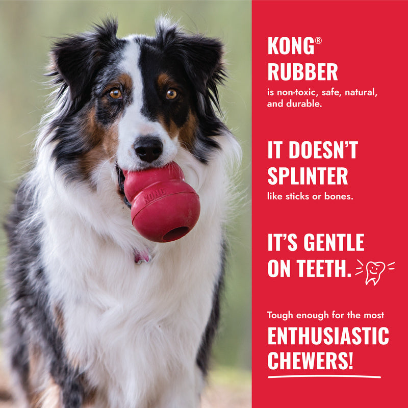 KONG Ball with Rope Dog Toy - Percys Pet Products