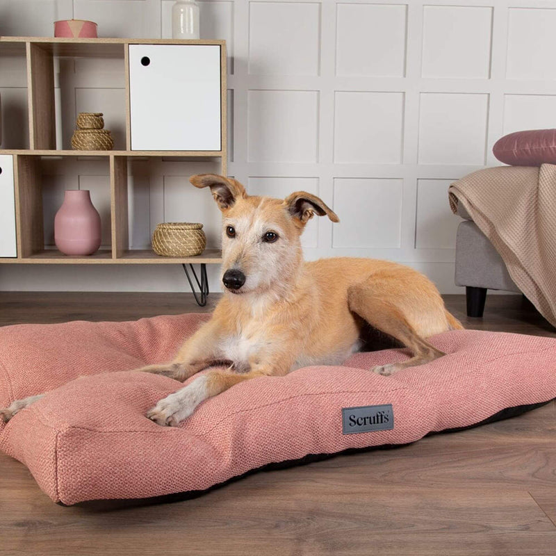 Buy Scruffs Seattle Mattress Dog Bed - Percys Pet Products