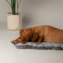 Scruffs Expedition Reversible Water Resistant Crate Mat | Percys Pet Products