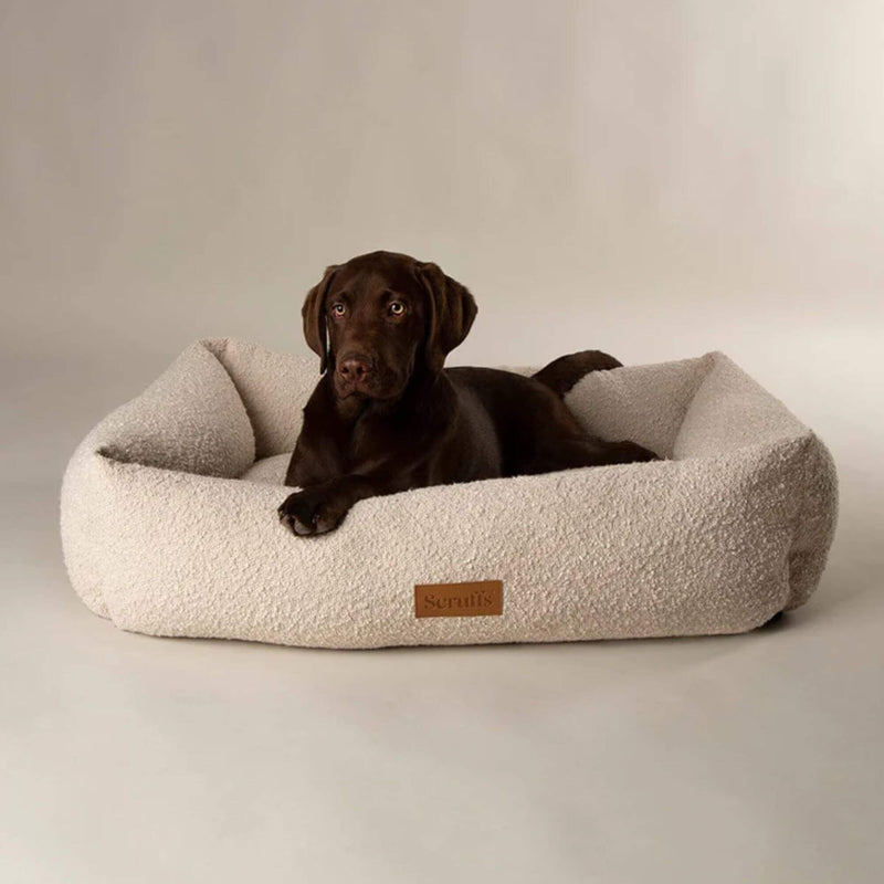 Buy Scruffs Boucle Box Dog Bed | Percys Pet Products