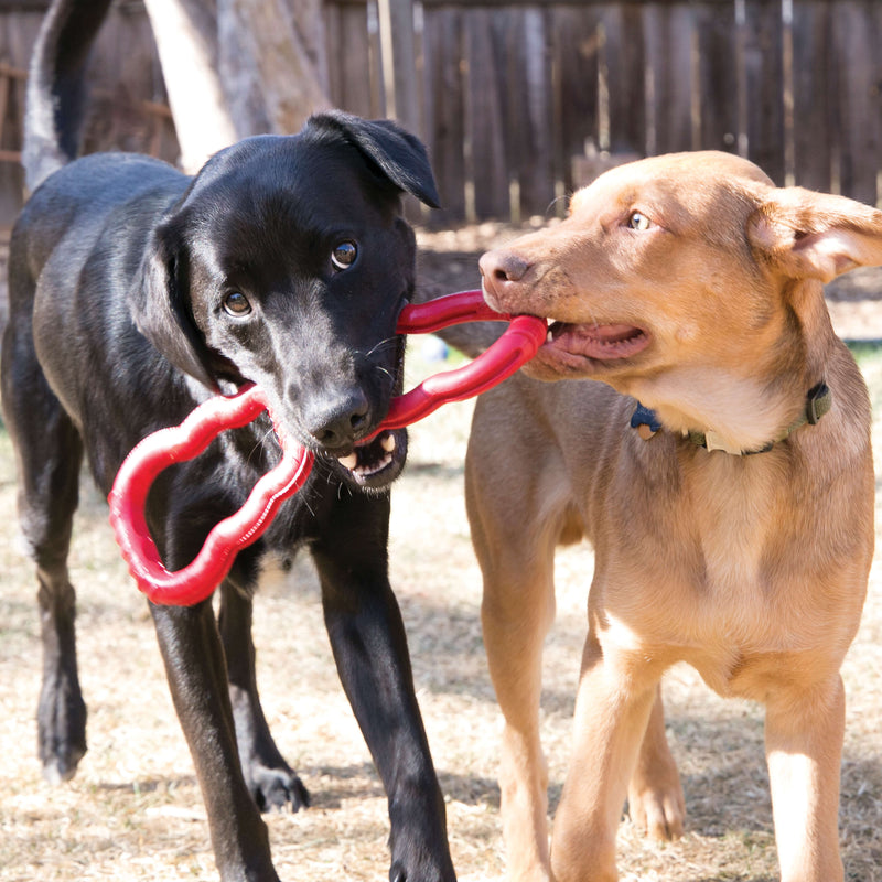 KONG Tug Durable Rubber Tug Dog Toy - Percys Pet Products